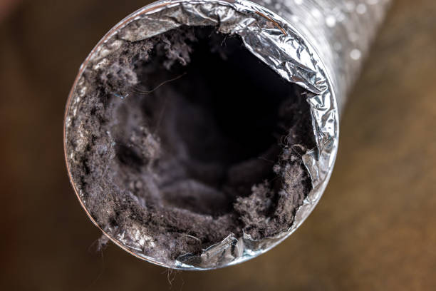Best HVAC System Cleaning  in Poplar Cotton Center, CA